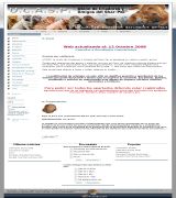 www.ucasp.eu - Web interactiva dedicada exclusivamente al shar pei en ella se puede encontrar mucha información sobre nuestros arrugados amigos y podrás participar