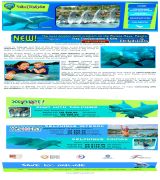 www.viadelphi.com - Programas para convivir y aprender de los delfines en los parques xcaret y xel-ha.