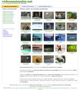 www.videosanimales.net - Vídeos de animales haciendo animaladas