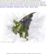 www.vinosdetoro.es - Tienda online de los vinos de toro