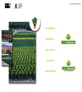 www.viversmassaneda.com - Vivero especializado en macetas y plantas sembradas en contenedores