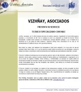 www.vizhnay.com - Ofrecen servicios de auditoría externa, capacitacion y asesoria.