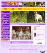 www.vonherrven.cl - Cachorros campeones venta de cachorros inscritos cachorros golden cachorros labrador y cachoros bulldog