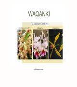www.waqanki.com - Waqanki está destinado a la protección y conservación de las diferentes especies de las orquídeas en peligro de extinción en el norte de perú, c
