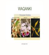 www.waqanki.com - Waqanki está destinado a la protección y conservación de las diferentes especies de las orquídeas en peligro de extinción en el norte de perú, c