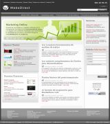 www.websdirect.es - Desarrollo de páginas web diseño posicionamiento en buscadores marketing on line y comercio electrónico