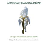 www.zonaverde.net - Características y aplicaciones de las plantas